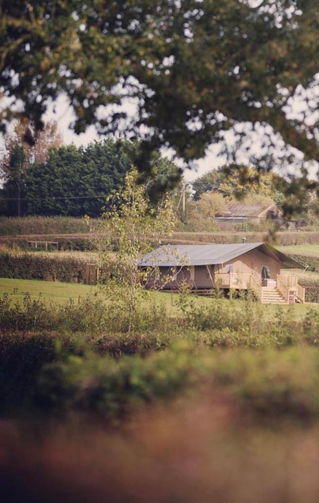Midleydown Luxury Glamping Hotel Exeter Kültér fotó
